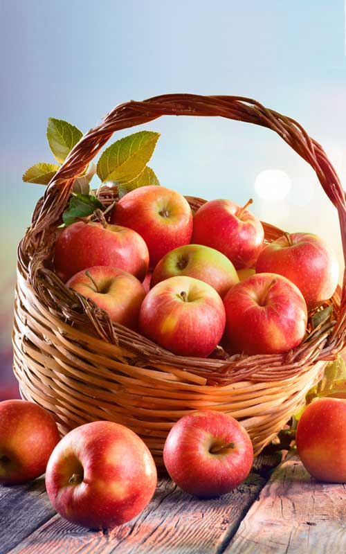 Agropoli Εμπόριο Οπωροκηπευτικών